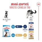 ROYAL CANIN Maxi Puppy, pienso seco para cachorros, 3 kg