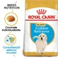 ROYAL CANIN Golden Retriever Puppy, dry junior dog food, 3 kg
