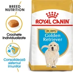 ROYAL CANIN Golden Retriever Puppy, dry junior dog food, 3 kg