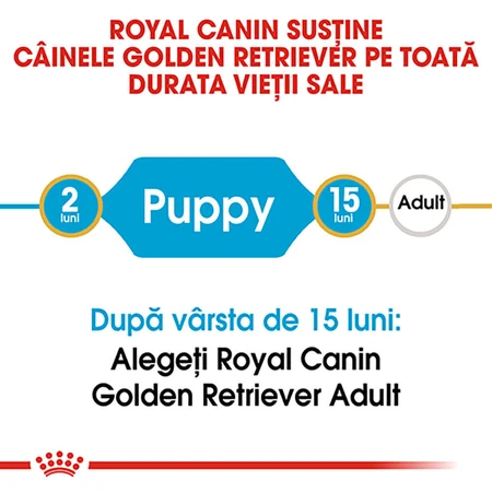 ROYAL CANIN Golden Retriever Puppy, dry junior dog food, 3 kg