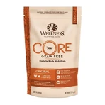 Wellness Core Dry with Turkey and Chicken, 300 g