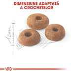 ROYAL CANIN Fit32 Adult, pienso seco para gatos, actividad física moderada, 4 kg