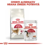 ROYAL CANIN Fit32 Adult, pienso seco para gatos, actividad física moderada, 4 kg