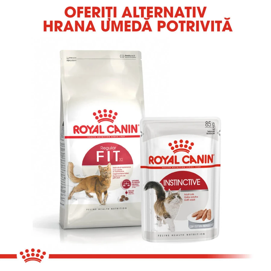 ROYAL CANIN Fit32 Adult, pienso seco para gatos, actividad física moderada, 4 kg