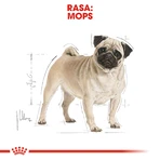 ROYAL CANIN Pug Adult, dry dog food, 1.5 kg