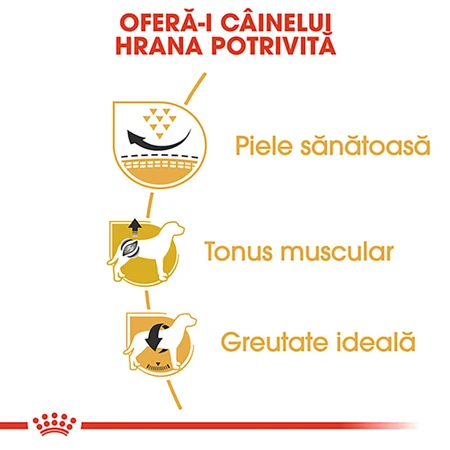 ROYAL CANIN Pug Adult, dry dog food, 1.5 kg