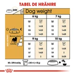 ROYAL CANIN Pug Adult, dry dog food, 1.5 kg