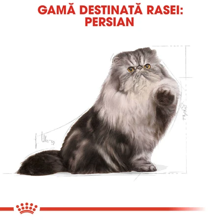 ROYAL CANIN Persian Adult, croquettes pour chat, 400 g