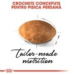 ROYAL CANIN Persian Adult, croquettes pour chat, 400 g