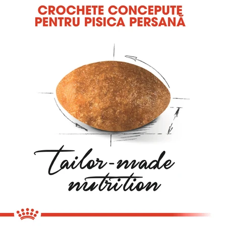 ROYAL CANIN Persian Adult, croquettes pour chat, 400 g