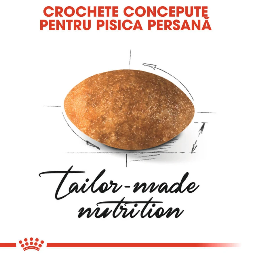 ROYAL CANIN Persian Adult, croquettes pour chat, 400 g