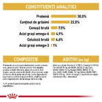 ROYAL CANIN Persian Adult, croquettes pour chat, 400 g