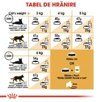 ROYAL CANIN Persian Adult, croquettes pour chat, 400 g