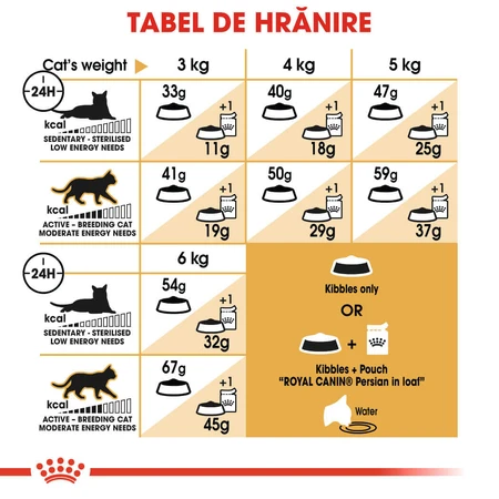 ROYAL CANIN Persian Adult, croquettes pour chat, 400 g