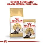 ROYAL CANIN Persian Adult, croquettes pour chat, 400 g