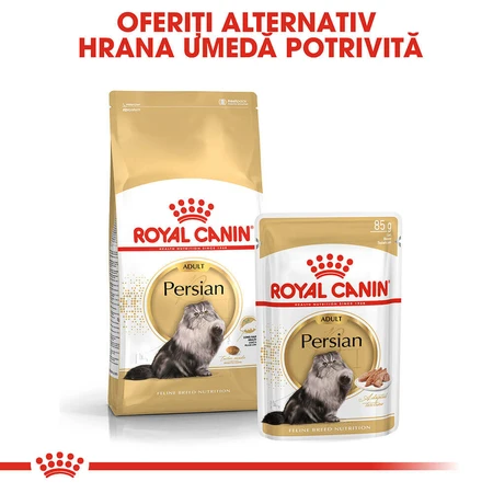 ROYAL CANIN Persian Adult, croquettes pour chat, 400 g