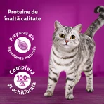 WHISKAS Pure Delight Mixed Selection, Rind, Huhn, Lachs und Thunfisch, Nassfutter für Katzen in Beuteln (in Aspik), Multipack, 85 g x 12