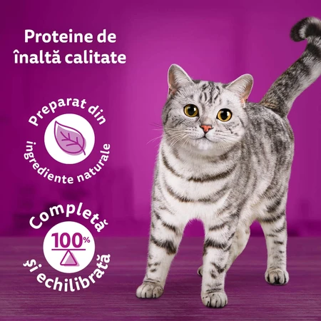 WHISKAS Pure Delight Mixed Selection, Rind, Huhn, Lachs und Thunfisch, Nassfutter für Katzen in Beuteln (in Aspik), Multipack, 85 g x 12