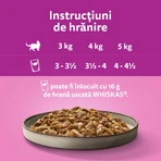 WHISKAS Pure Delight Mixed Selection, Rind, Huhn, Lachs und Thunfisch, Nassfutter für Katzen in Beuteln (in Aspik), Multipack, 85 g x 12