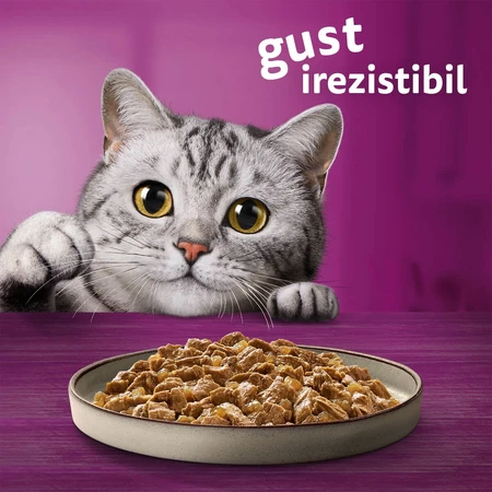 WHISKAS Pure Delight Mixed Selection, Rind, Huhn, Lachs und Thunfisch, Nassfutter für Katzen in Beuteln (in Aspik), Multipack, 85 g x 12