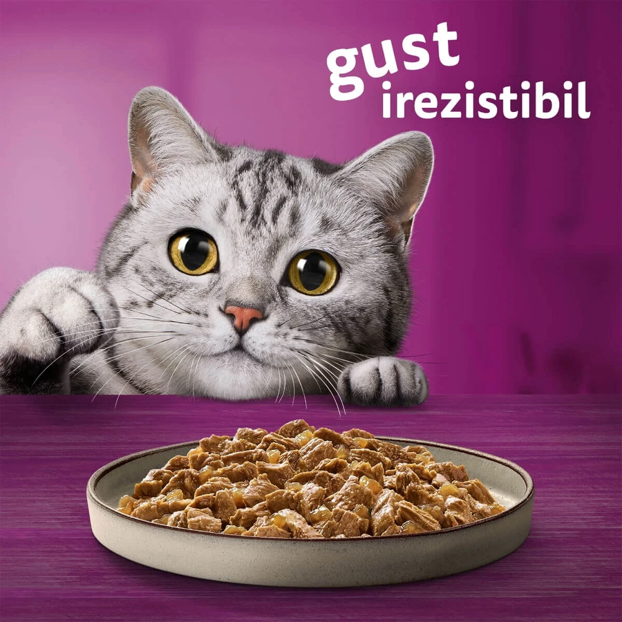 WHISKAS Pure Delight Mixed Selection, Rind, Huhn, Lachs und Thunfisch, Nassfutter für Katzen in Beuteln (in Aspik), Multipack, 85 g x 12