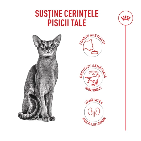 ROYAL CANIN Feline Health Nutrition Fussy, droogvoer voor kieskeurige katten, 4 kg