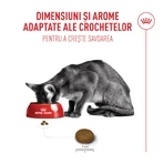 ROYAL CANIN Feline Health Nutrition Fussy, droogvoer voor kieskeurige katten, 4 kg