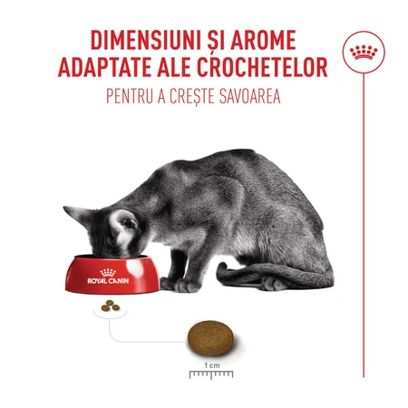 ROYAL CANIN Feline Health Nutrition Fussy, droogvoer voor kieskeurige katten, 4 kg