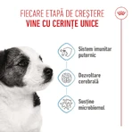 ROYAL CANIN Mini Puppy, Trockenfutter für junge Hunde, 800 g