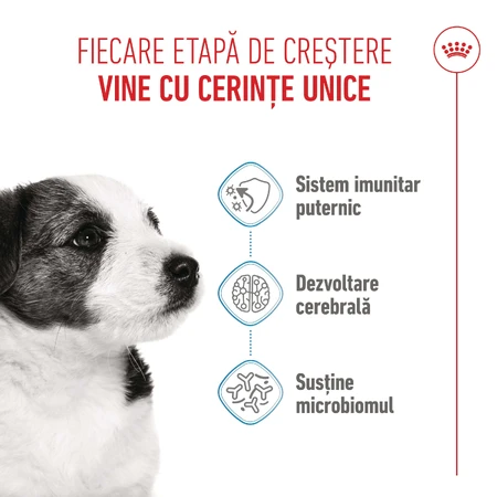 ROYAL CANIN Mini Puppy, Trockenfutter für junge Hunde, 800 g