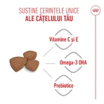 ROYAL CANIN Mini Puppy, Trockenfutter für junge Hunde, 800 g