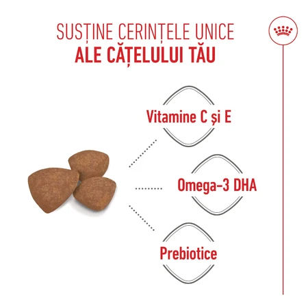 ROYAL CANIN Mini Puppy, Trockenfutter für junge Hunde, 800 g