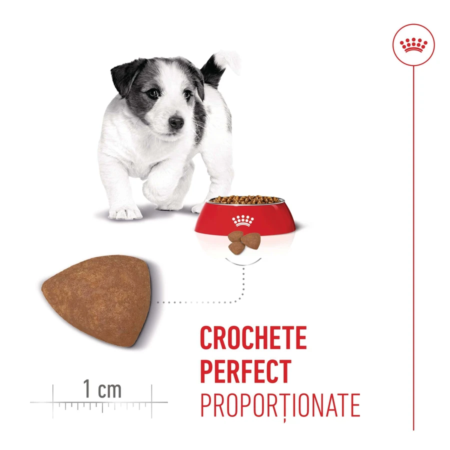 ROYAL CANIN Mini Puppy, Trockenfutter für junge Hunde, 800 g