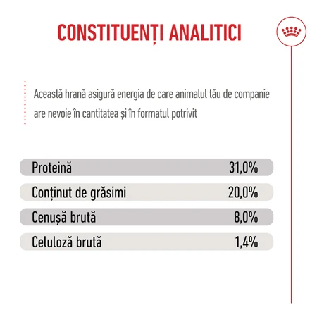 ROYAL CANIN Mini Puppy, Trockenfutter für junge Hunde, 800 g