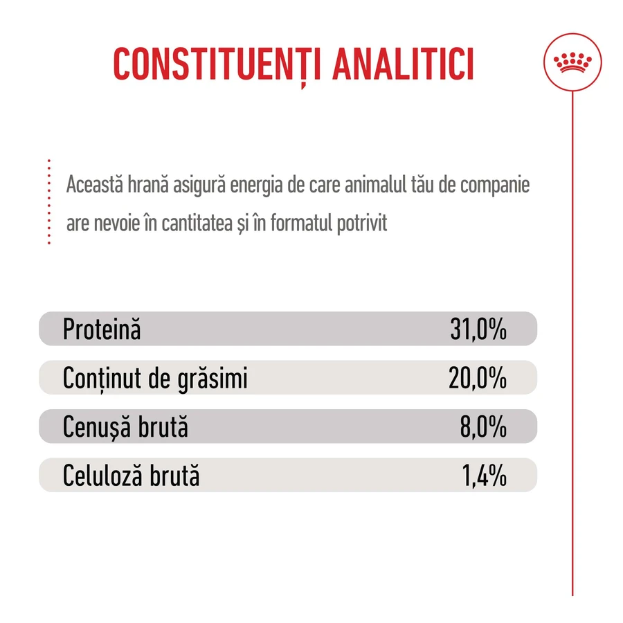 ROYAL CANIN Mini Puppy, Trockenfutter für junge Hunde, 800 g