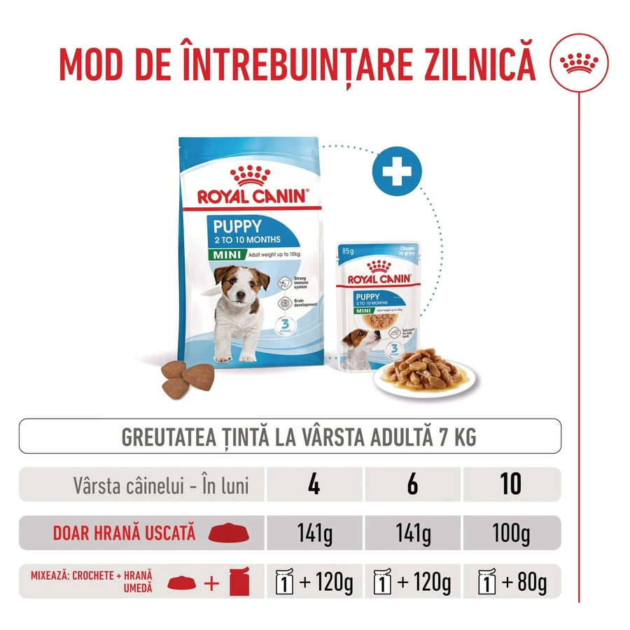 ROYAL CANIN Mini Puppy, Trockenfutter für junge Hunde, 800 g