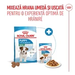ROYAL CANIN Mini Puppy, Trockenfutter für junge Hunde, 800 g
