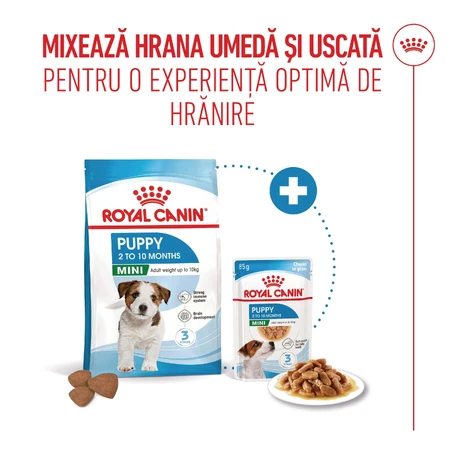 ROYAL CANIN Mini Puppy, Trockenfutter für junge Hunde, 800 g