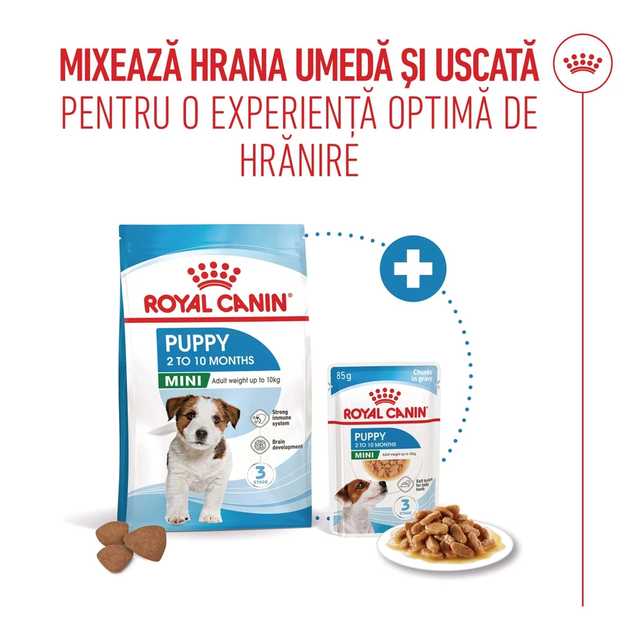 ROYAL CANIN Mini Puppy, Trockenfutter für junge Hunde, 800 g