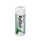 MIRADENT Xylitol-Kaugummi Spearmint, 30 Stück (Xylitol-Kaugummi, Spearmint-Geschmack)
