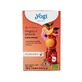YOGI TEA  Organic Cold Brew Strawberry & Orange Tea, 15x2g