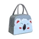 5,5-Liter-Lunch-Tasche, bernsteinfarben, isoliert | Koala 