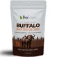 Bioloog | Buffalo Whey Protein Choco Buffalo Whey Protein met cacao | 500 g 