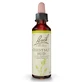 BACH FLOWER REMEDY CHESTNUT BUD No. 07 20ML