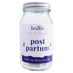 HOLLIS POST-PARTUM NURSING CAPSULES 90 CAPSULES