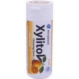 XYLITOL 30 FRUCHT-KAUGUMMI
