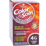 THE 3 OAKS 4G GOLDEN BROWN
