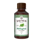 Patlagine Sirup, 200 ml, Faunus Plant