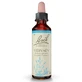 RIMEDIO FLOREALE DI BACH VERBENA N. 31 20 ML