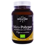 HIFAS DA TERRA MICO-POLYPOR 70 CAPSULES